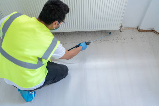 Real Estate Pest Inspections in Oildale, CA